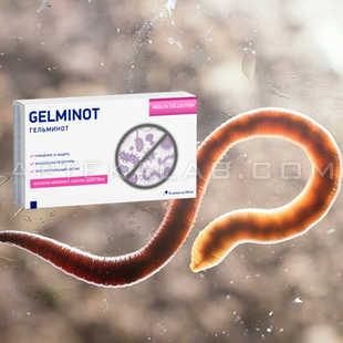 Гельминот купить в аптеке в Толочине